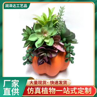 ����ֲ���ϹϹ�ֲ������ �������ֲ��ʯɏ�� �ҾӶ������Ի��[��