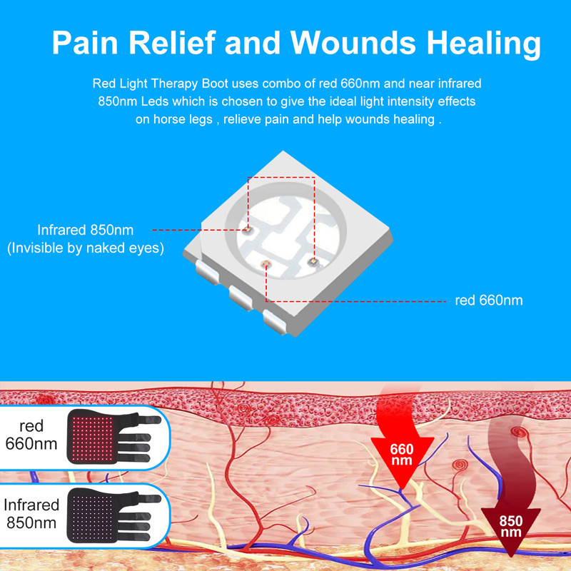 微信图片_20221128102305