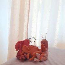 jellyca���l���r�����зƤƤ�r����ϵ��ë�q�������ṫ����ż��