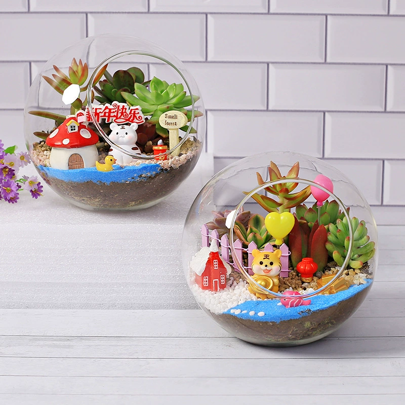 16 новогодний мясистый стеклянный шар коническая Бутылка маленький горшок растение подарок микро бонсай офисный стол материал для посадки мяса сумка