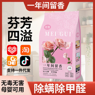 Fragrance Camphor Balls for Household Use, Non-Toxic, Individually Packaged, Wardrobe Moisture-Proof, Mildew-Proof, Odor-Proof, Insect-Proof, Formaldehyde-Removing, Fragrance Type