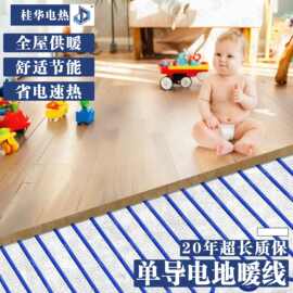 电采暖单导发热电缆家用全屋电热系统智能采暖电合金丝电地暖线