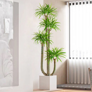 ���ͷ���ֲ��Gֲl������Ѫ�F���҃��쾰�̈��T������b����[