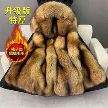 ���Q2025�¿�ñ�º���ë�I���L���Ƥ�ݴ������׷���ʿ�ɲ�ж��đ