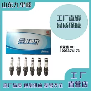 Weichai National Vi şam 1003374173 Wp15S mühərriki üçün