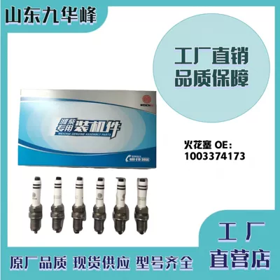 Weichai National Vi Spark Plug ​ 1003374173 Suitable for Wp15S Engine (Alışdırma şamı (Sveçalar))