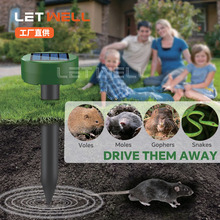 ���Ƒ���̫��������ͥԺ�ز�ʽ����������s��̫�����B��