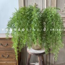 ���洹���L�� �ٗl���l����ֲ�����ϻ�����Ƶ���üٻ��Ҿ��b�