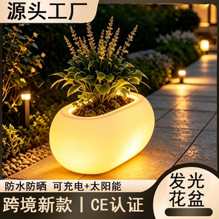 �L���߲ʟ���h������led�l�⻨����⾰�^��ˮֲ��A�ηNֲ����