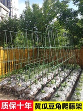 ���S�ϼܽz��֧�ܶ��ǷN�˼���ͥԺ���Ѽܰ���䓹�ֲ���������