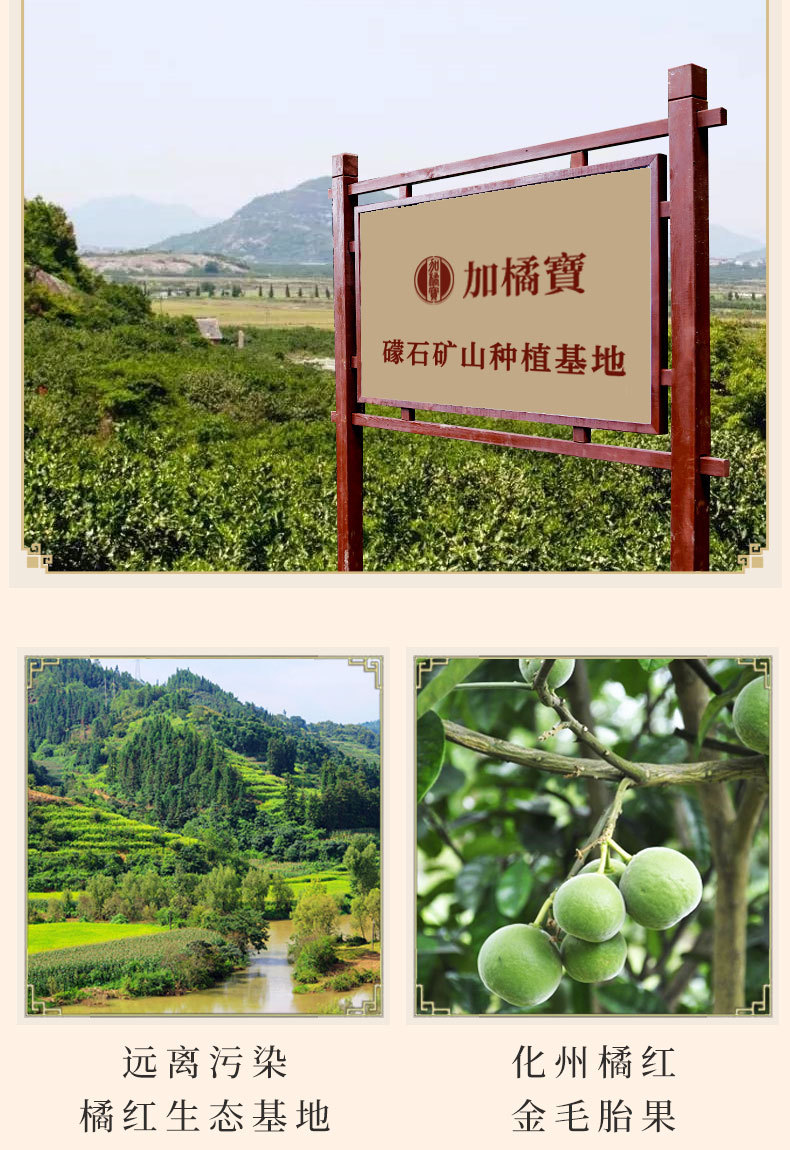 Huazhou Tangerine Peel Slices Hua Ju Hong 20g Canister Individually Wrapped Traditional Herbal Tea specifications