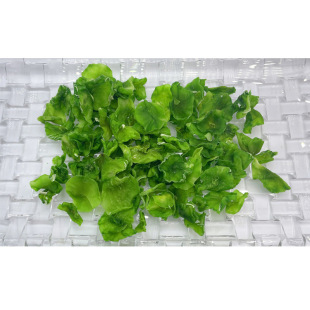 Óˮ�n�S�� �n�ĸ� ����߲� �������߲� ��H ����� �߲˸�