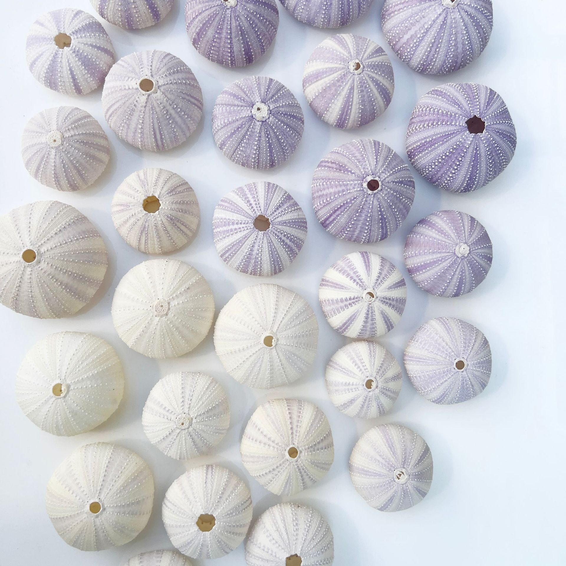 微信图片_20241205145438