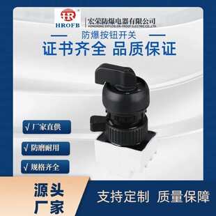 Explosion-proof knob switch explosion-proof switch explosion-proof button switch explosion-proof junction box components button components