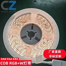 COB RGBW�ĺ�һ��560��12��24V늸���KTV�Շ����ܶȟ�
