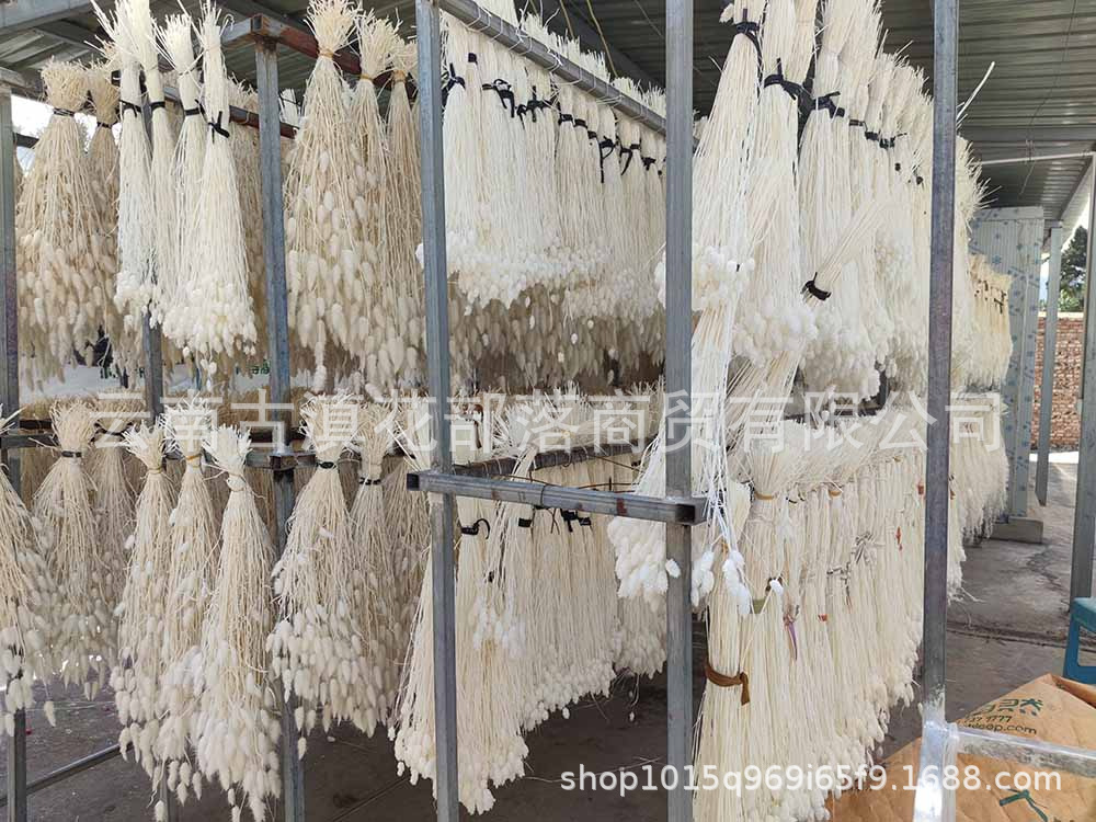 H914cf08b7aa64b7d9d3844e037979