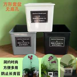 蝴蝶兰多肉绿植花卉简约花盆白色灰色方形水培塑料桌面套盆