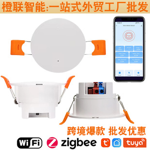 Tuya�T�f WiFi ���w���ڂ�����  24Ghz ���ײ����w΢��̽�y�����S