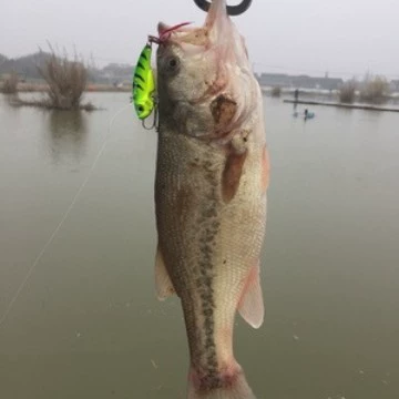 Люя наживка набор приманок пресной и морской воды, искусственная наживка твёрдая приманка Thunder frog лошадь дыня семена стрази мягкая наживка, наживка для рыбы Мино