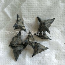 ��,ˮ���,���,�Ľ����,�F���,��؛���lș��������ֲ�����