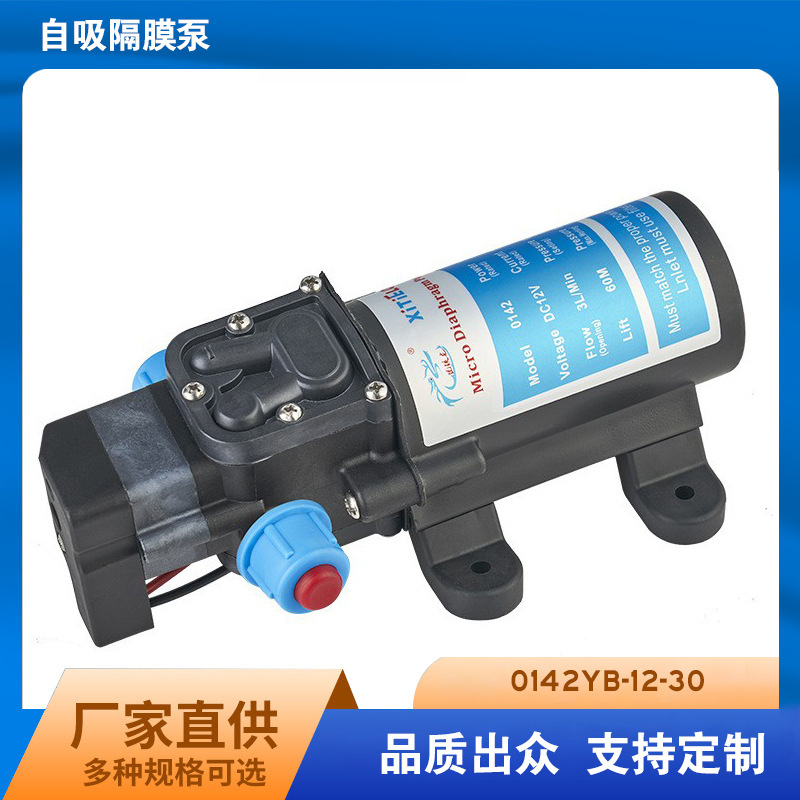 Manufacturer Supplies Electric Cleaning Small Household Appliances, Spray Pump, High Temperature Resistant Pump, 30W Automatic Booster Pump, Diaphragm Pump