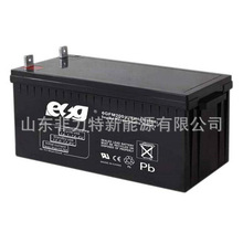 ��ƷESG��늳�6GFM200 12V200AH/10HRֱ���� ��늙� UPS/EPS�Դ