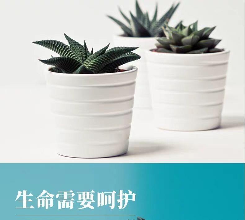 bd111a68-d7f7-425f-83b1-df99d12b5425.jpe