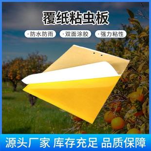 Paper-Coated Sticky Insect Board Thickeneded Strong Sticky Insect Trap Board Cross-Border Wholesale Yellow and Blue Sticky Insect Greenhouse Orchard Tea Garden Special