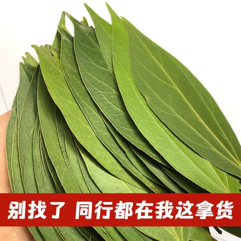 平安树叶标本干树叶干燥平面叶子紫外激光雕刻照片做叶雕材料田园