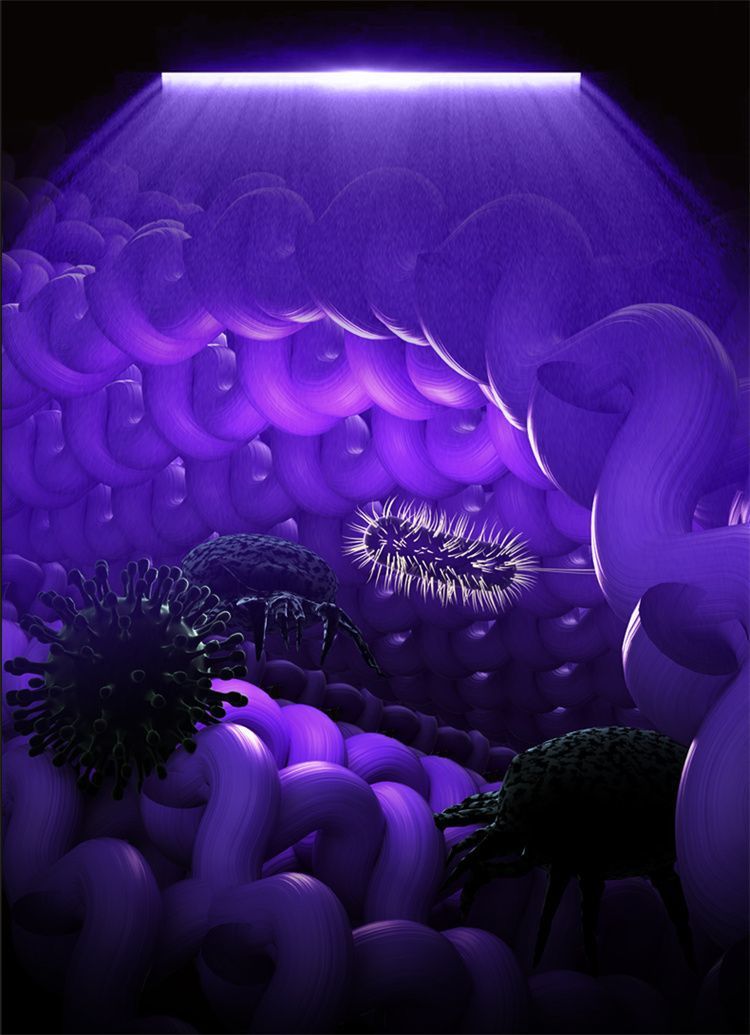 5f755c26-6529-4953-ac88-d122b8a0f285.jpe