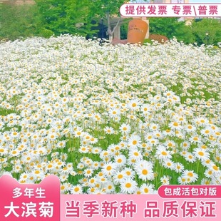 IշNrʾ̨ͥԺɣܻNļN_