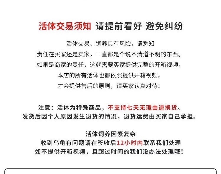 外塘活体乌龟 中华草龟观赏宠物活物小乌龟 金线草龟苗养殖场批发详情11