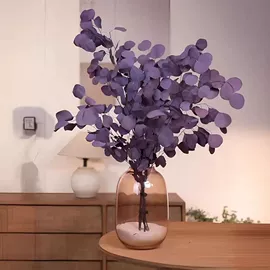 盆栽;栽培基质;营养液