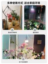 ̨̫ꖹģM̫ȫV҃BmܾGֲLa