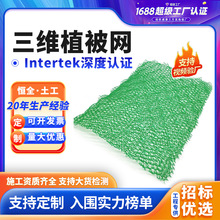 ���Sֲ���W߅���o�� �@�־G������ �Gɫ��ɫ���Sֲ���W�|