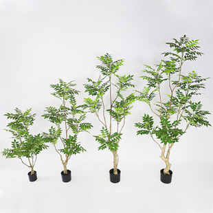 ����Gֲ���٘����ֲ�﹤�Sֱ�ۼҾ������̨���^����b�����