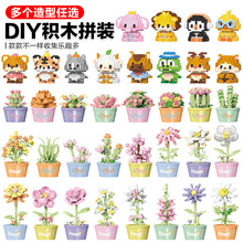 【包邮】微颗粒兼容乐高小动物卡通公仔积木男女儿童小盒拼装玩具