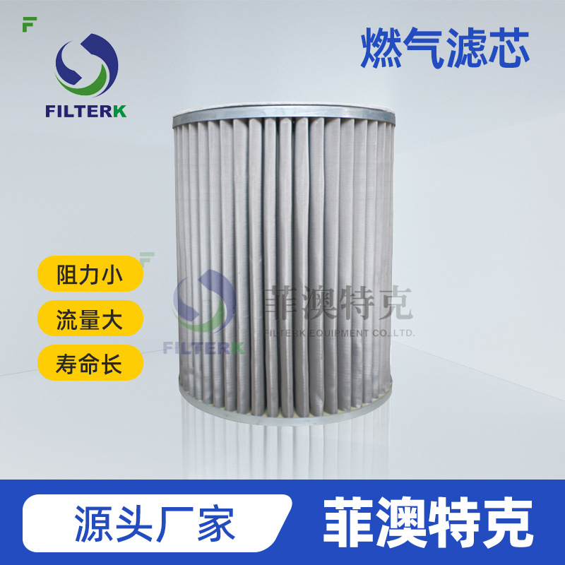 菲澳特克 G4.0 50um  配套燃气输配 天然气滤芯 燃气滤芯