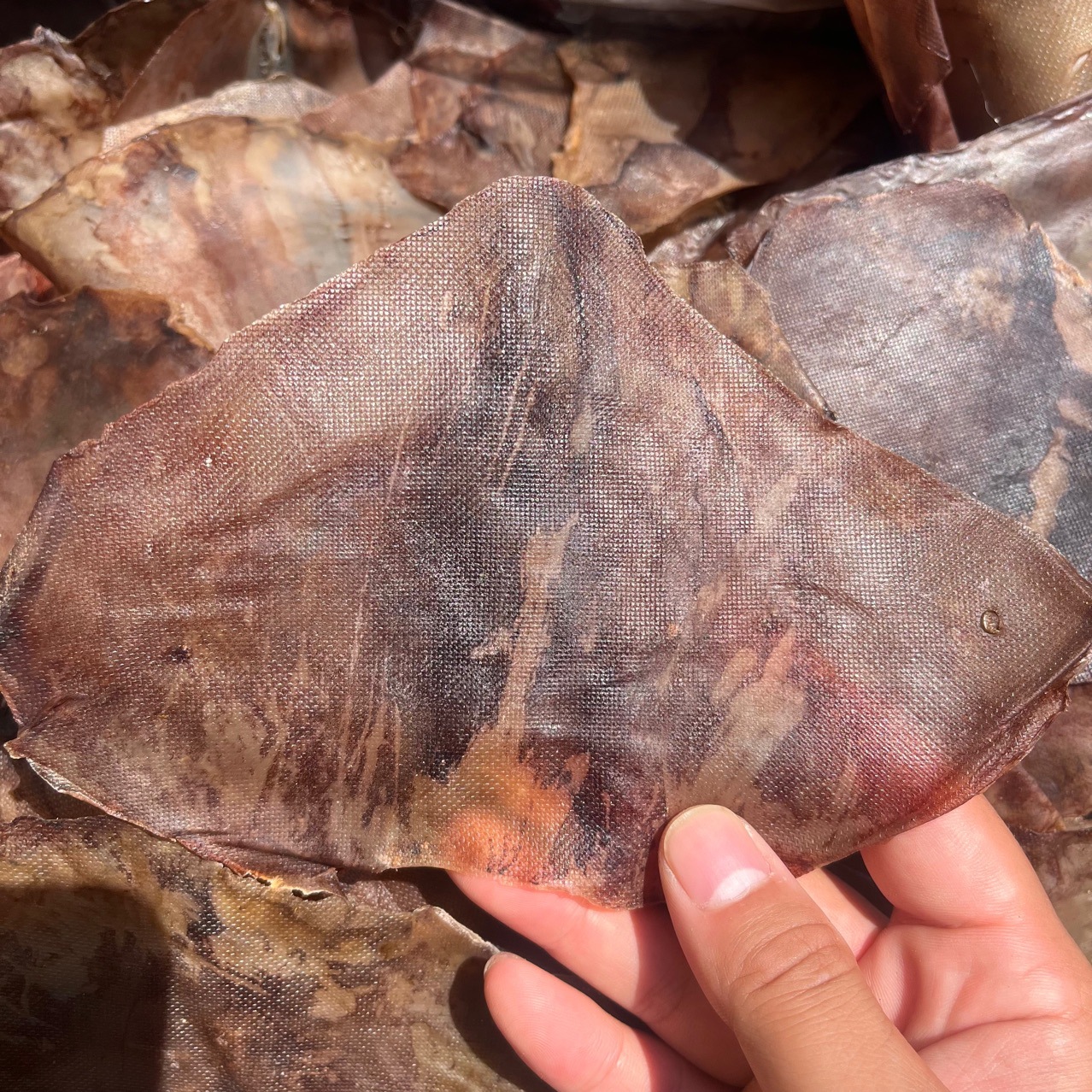 秘鲁鱿鱼干鱿鱼尾火箭鱿鱼原料餐饮火锅食材火锅食材推荐