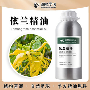 ���m�����ֹ���η�����SPA��Ħ�����o�w� ���{ֲ����ȡ��޹ԭ��