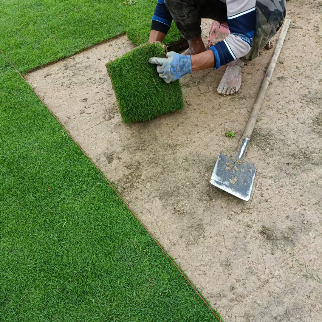 3e9f7eea107c0bb678f4e415ccd136