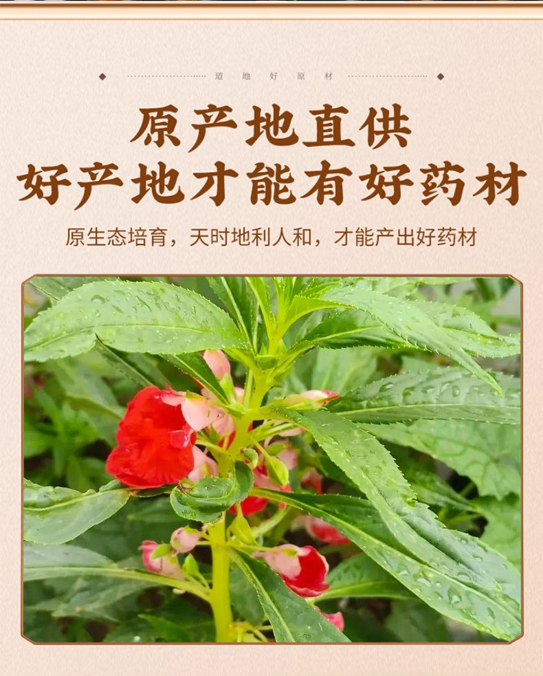 Dried Impatiens Balsamina Flower Feng Xian Hua Loose Bulk Natural Sun Dried 500g key features