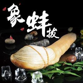 海参;鱼类;贝类