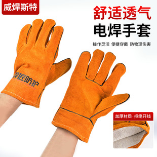 ���lţƤ늺������T��Sȡ�T��䓲��и����ϟ�̎��܇�g���o����