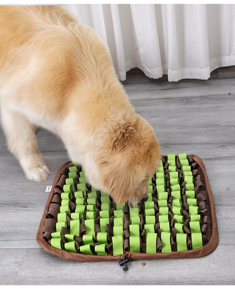 Smell Cushion Image 9