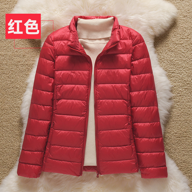 레드(스탠드 칼라)