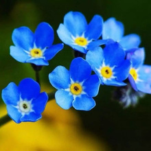 �ļ��_�������һ��N�� ������ֲ���҃�ͥԺ�k������ݱ��_������