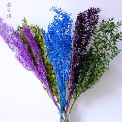 漂白永生富貴葉 廠家批發富貴葉永生花乾花花束婚慶裝飾插花道具