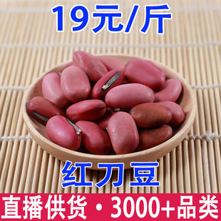 �t��������؛�t�����N�ӵ�����ħ�����l���l