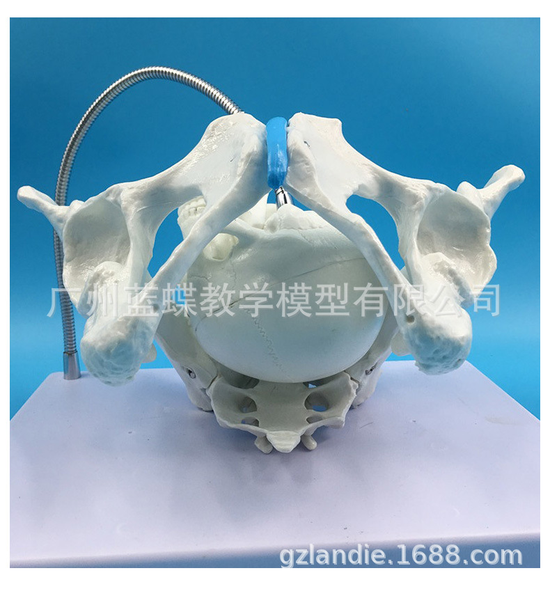 详情_24
